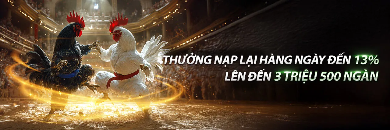 Hoàn trả thể thao 188v.com